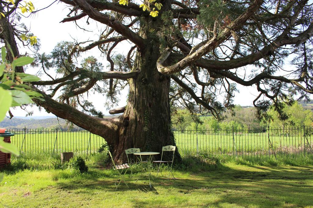 Chateau De Villeneuve - Montolieu エクステリア 写真