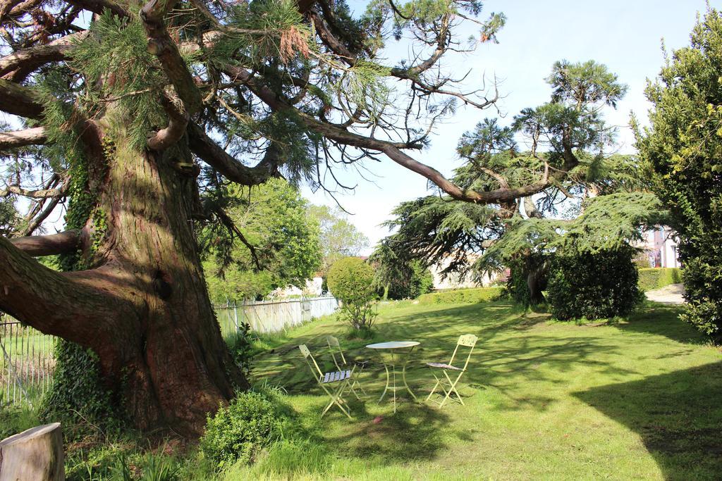 Chateau De Villeneuve - Montolieu エクステリア 写真